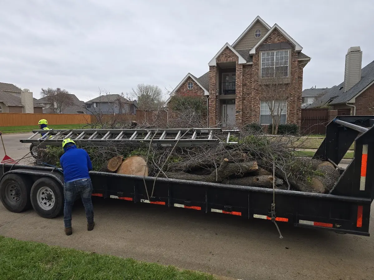 Expert Tree Removal with proper safety equipment in Middleport